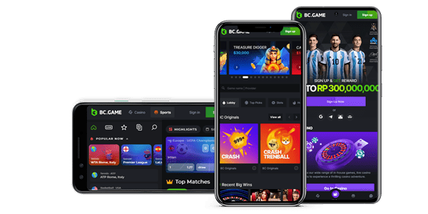 Explore the Exciting Features of BC.Game Mirror