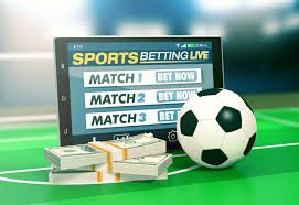 كل ما تحتاج معرفته عن Betwinner 316427378