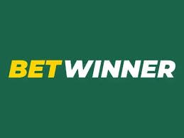 Discover the Excitement of BetWinner Casino Your Ultimate Gaming Destination 2010552331