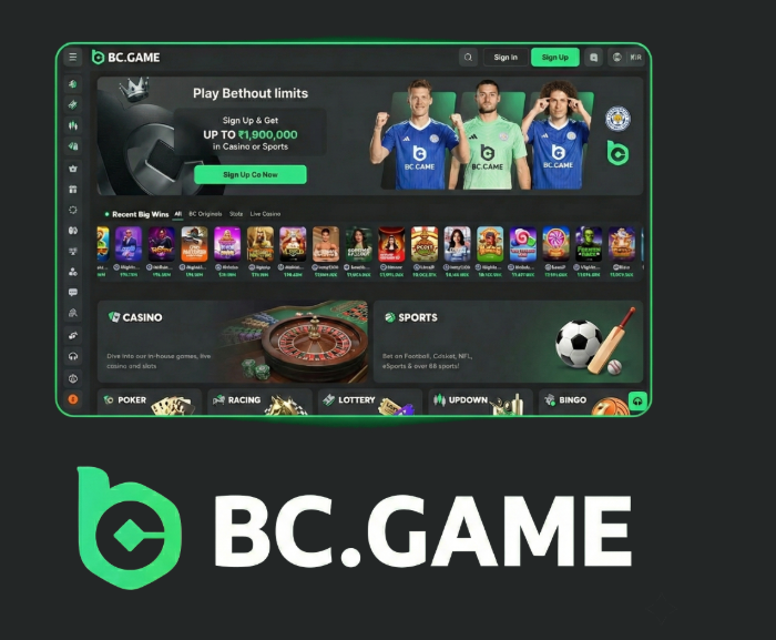 Exploring the BC.Game Platform A Revolutionary Crypto Gaming Experience Exploring the BC.Game Platform A Revolutionary Crypto Gaming Experience